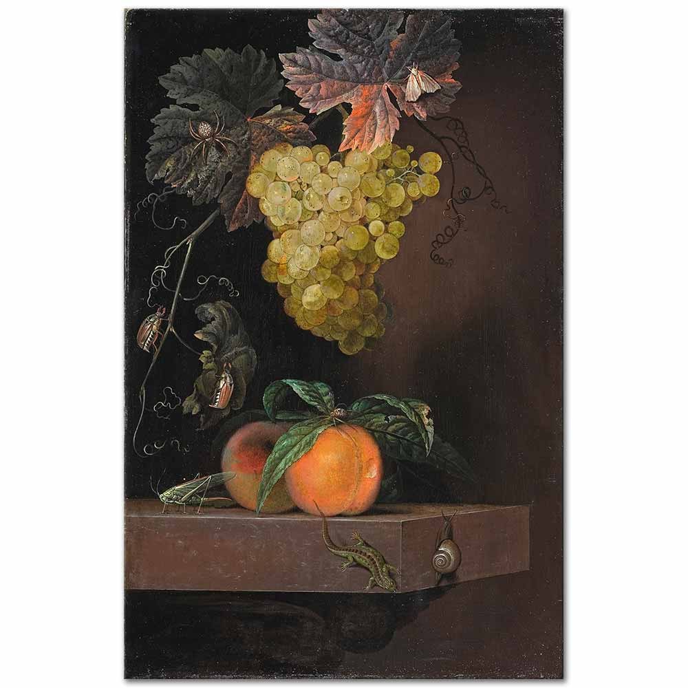 Still Life with Fruit, Lizard and Insects by Ottmar Elliger as Fine Art Print