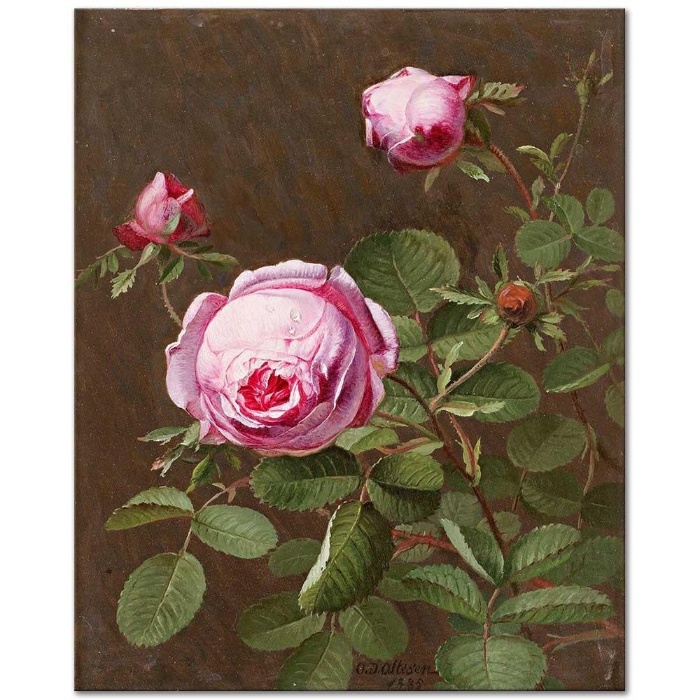 Otto Didrik Ottosen Pembe Gül Kanvas Tablo