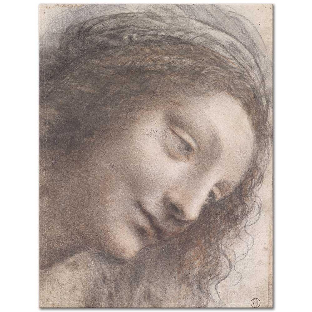 Leonardo da Vinci Bakirenin Başı Kanvas Tablo