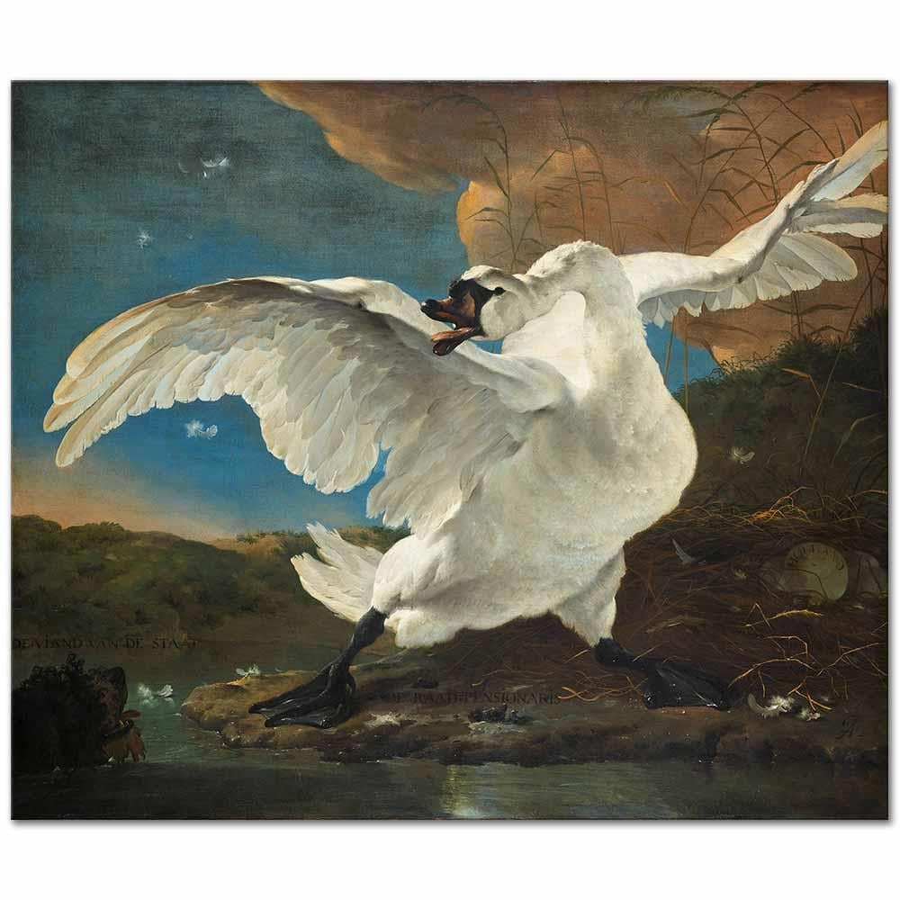 Jan Asselijn Kabaran Kuğu Kanvas Tablo