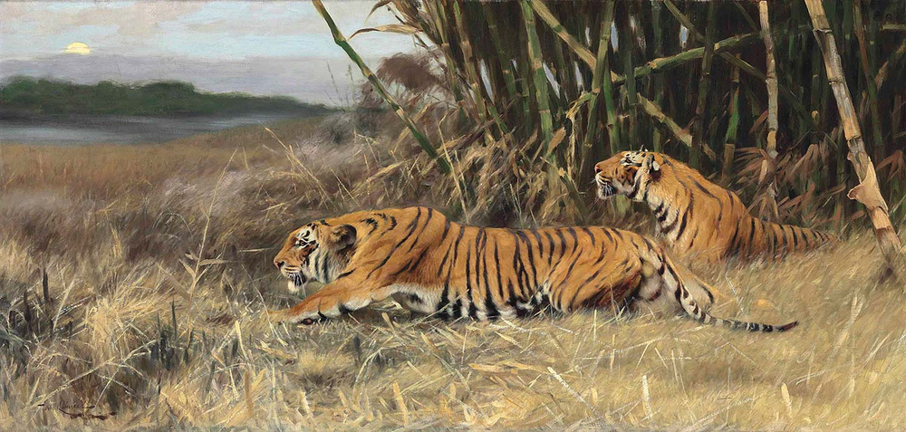 Wilhelm Kuhnert Two Stalking Tigers Art Print