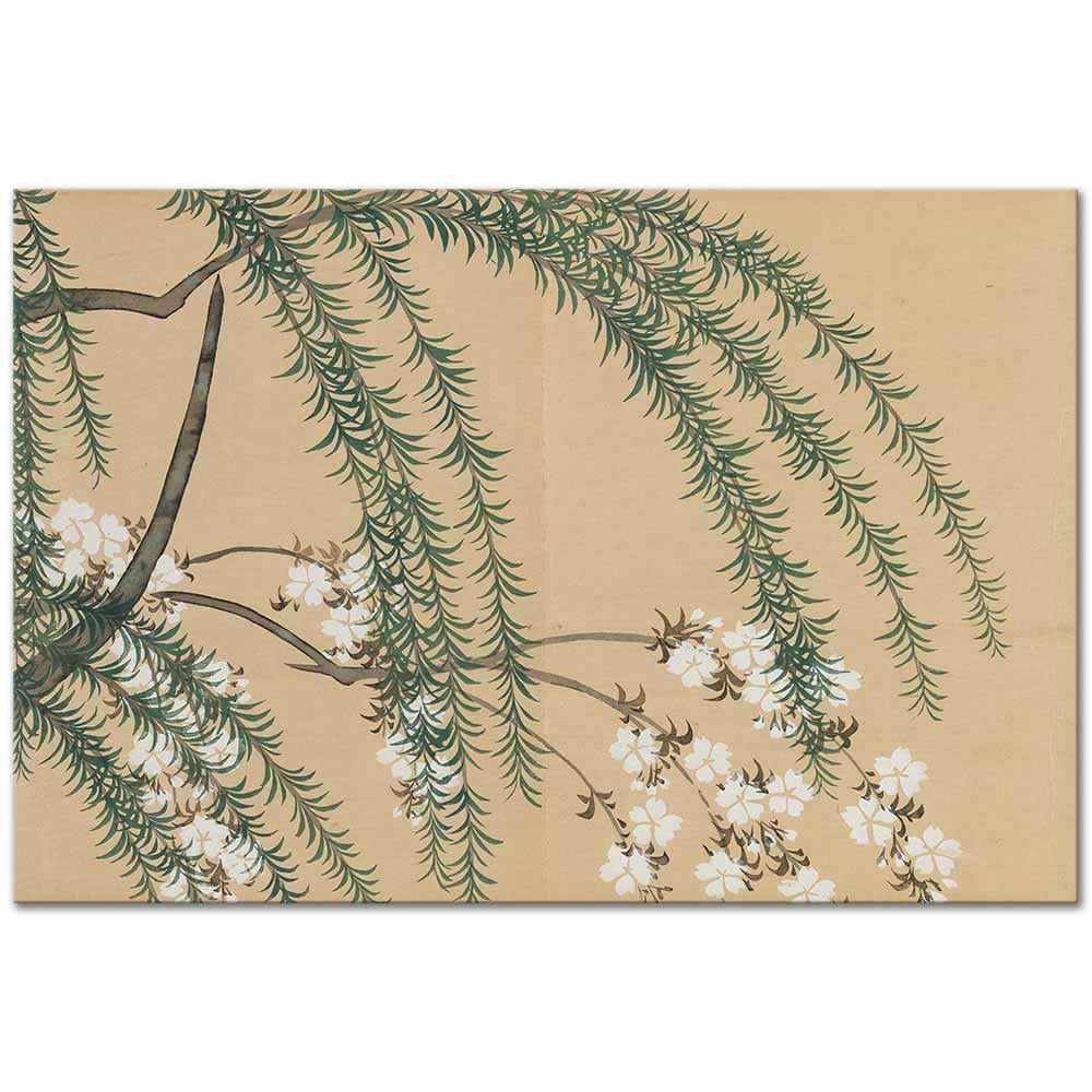 Kamisaka Sekka Söğüt ve Kiraz Çiçekleri Kanvas Tablo