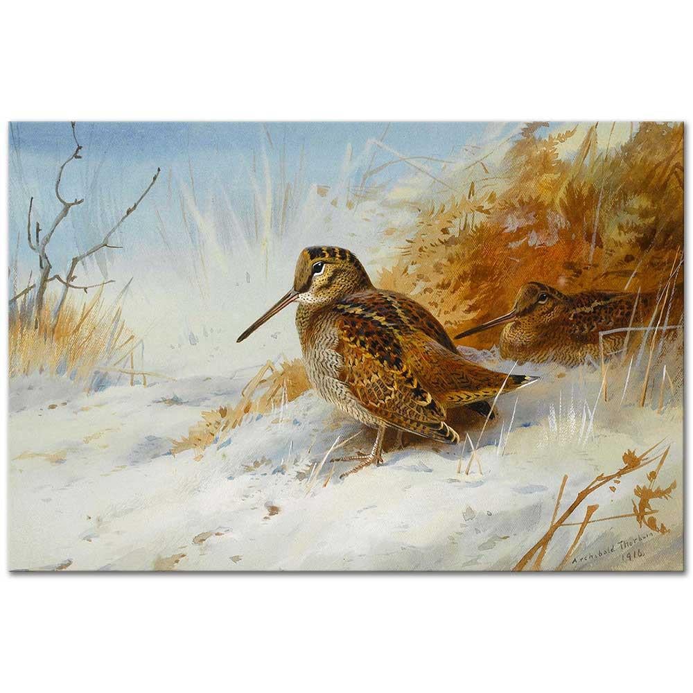 Archibald Thorburn Kış Çulluğu Kanvas Tablo