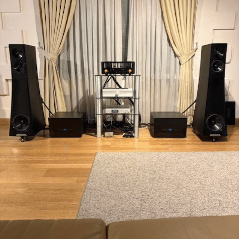 YG HAILEY 2.2 Hoparlör