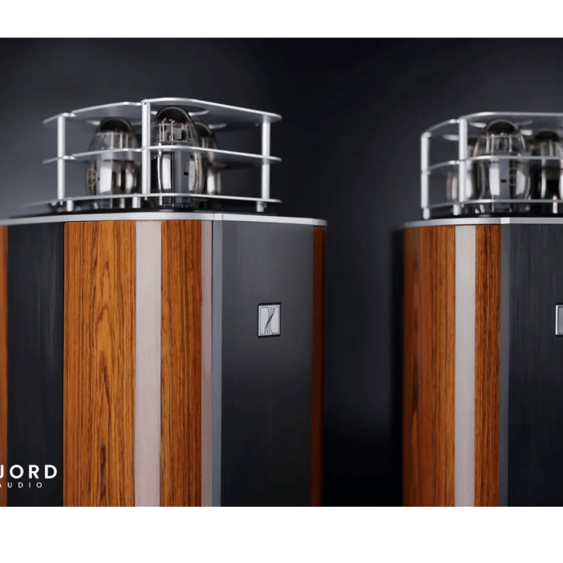 FJORD AUDIO P150 Lambalı Mono Güç Amplifikatörü