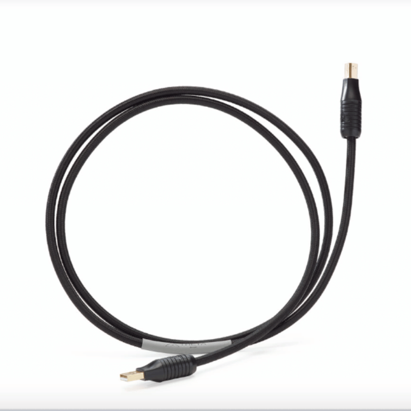 SHUNYATA THETA USB Kablo