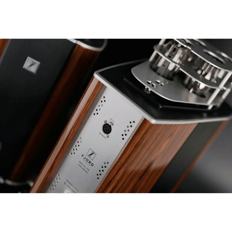 FJORD AUDIO P150 Lambalı Mono Güç Amplifikatörü