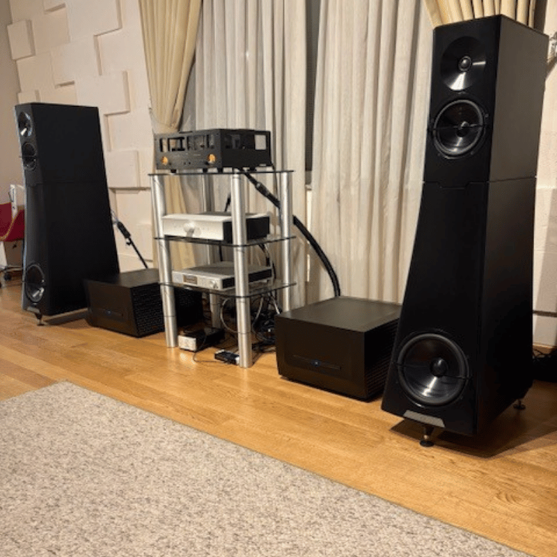YG HAILEY 2.2 Hoparlör