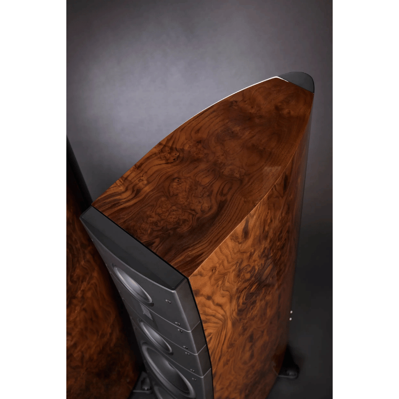 Raidho TD 3.10 Kule Hoparlör Yeni 