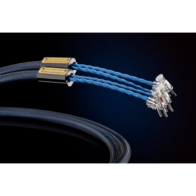 Siltech ROYAL SINGLE CROWN SSP009 silver-gold spade Sonlandırılmış Hoparlör Kablosu