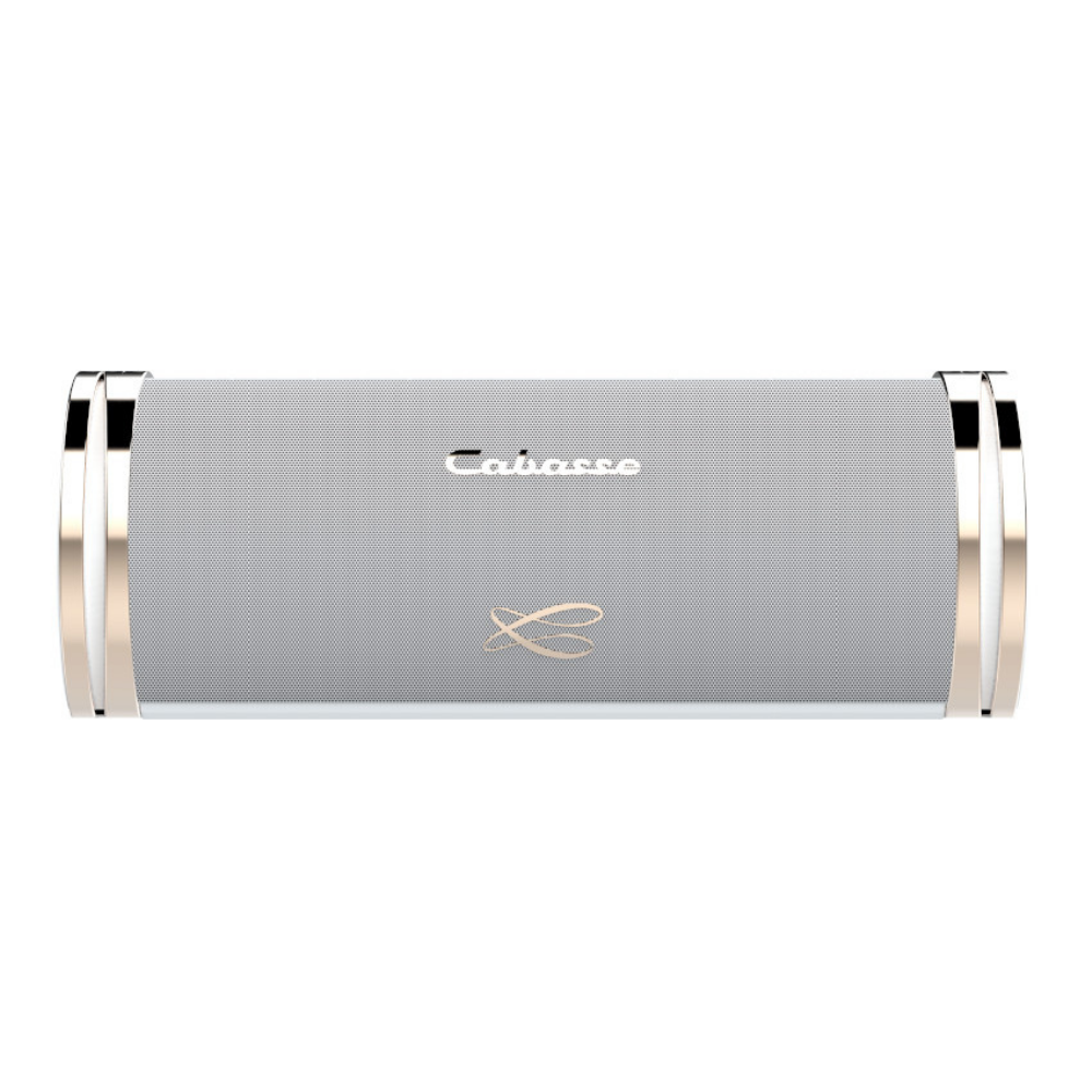 Cabasse SWELL Taşınabilir Şarjlı Bluetooth Hoparlör