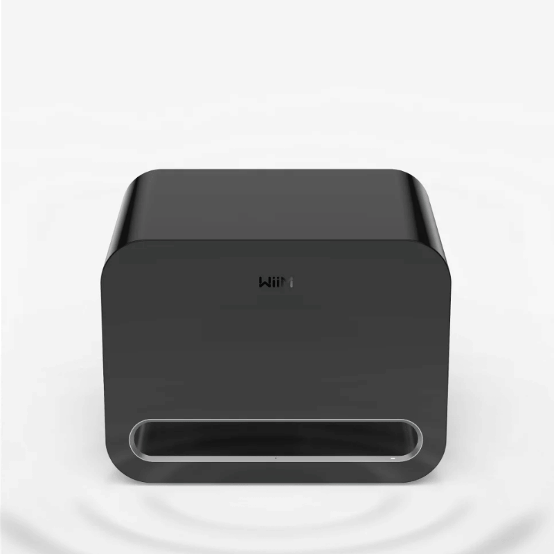 Wiim SUB Pro Subwoofer