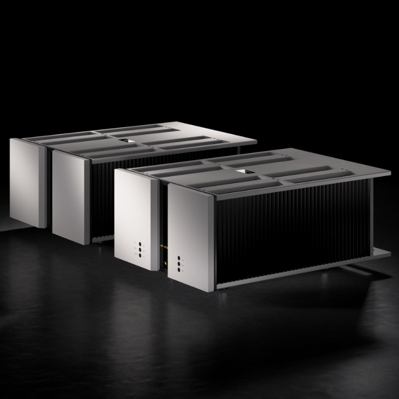 Vitus Audio MP201 MK.II Mono Güç Amplifikatörü