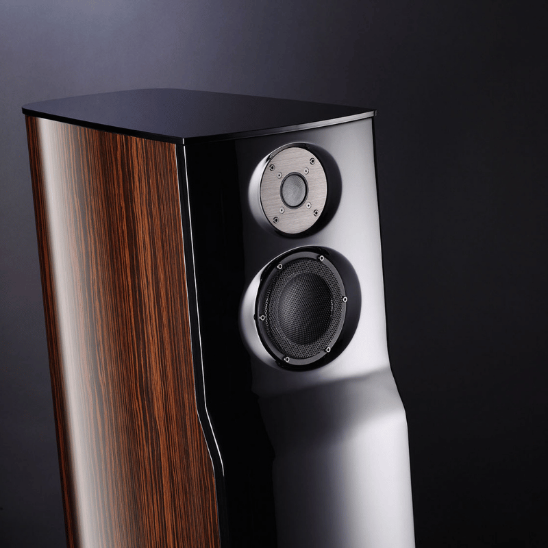 USHER ML-801 HIGH GLOSS MACASSAR EBONY Kule Hoparlör