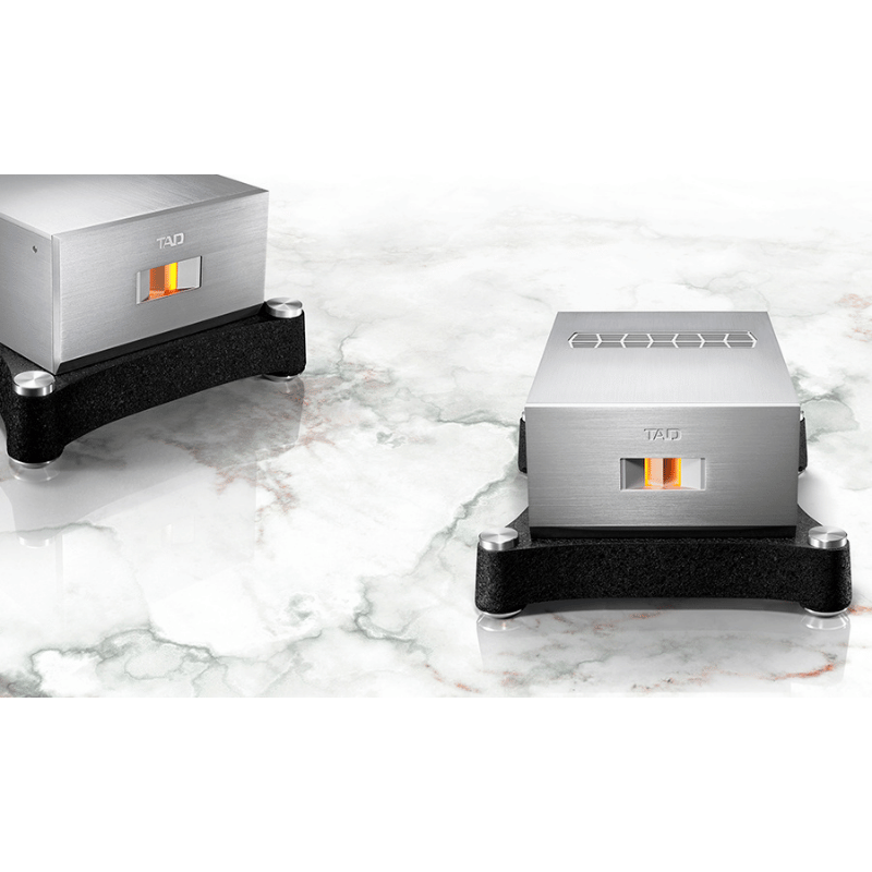 TAD Reference Mono Power Amplifikatör TAD-M700 Çift Fiyatıdır