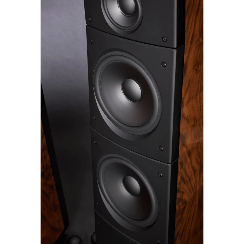 Raidho TD 3.10 Kule Hoparlör Yeni 