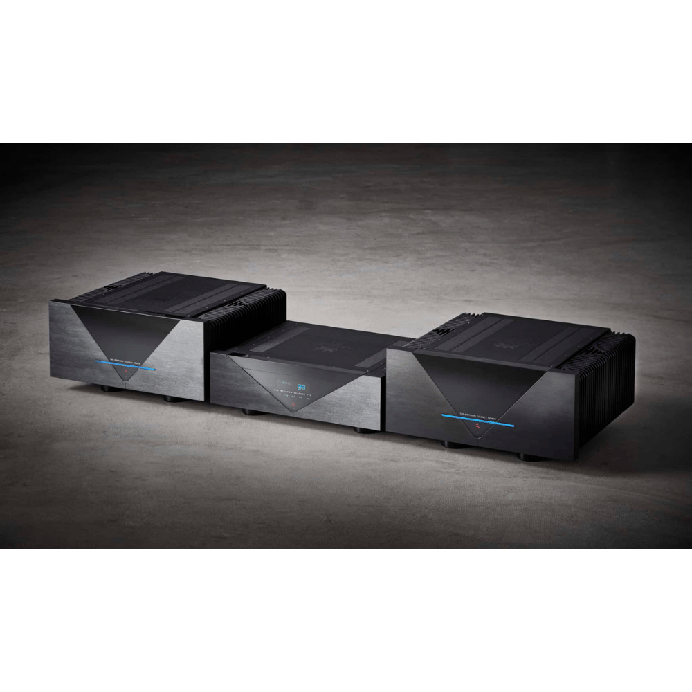 Gryphon Essence Mono Güç Amplifikatörü Çift Fiyatıdır