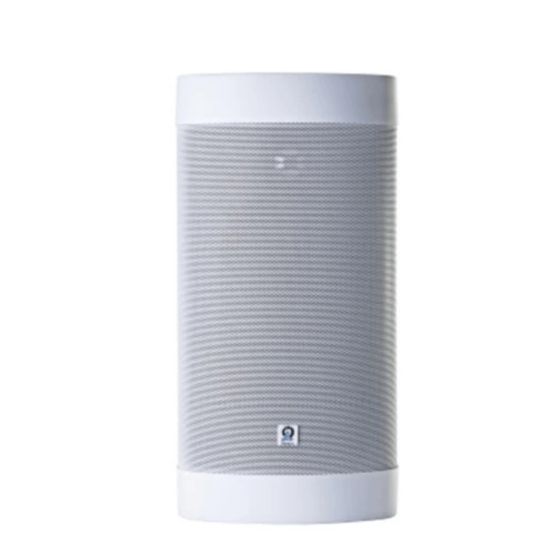 Origin Acoustics OS67 Dış Mekan Hoparlörü