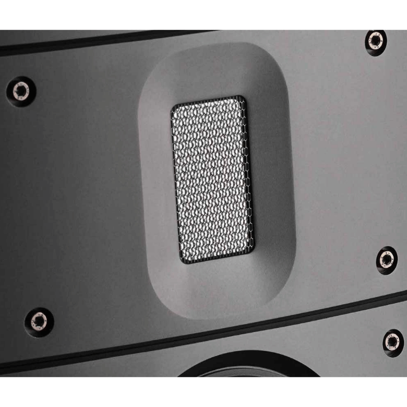 Raidho TD3.8 Kule Hoparlör Özel Cila Walnut Burl