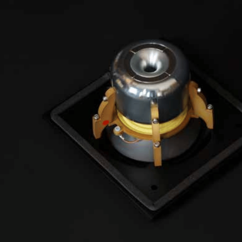 Raidho TD3.8 Kule Hoparlör Özel Cila Walnut Burl