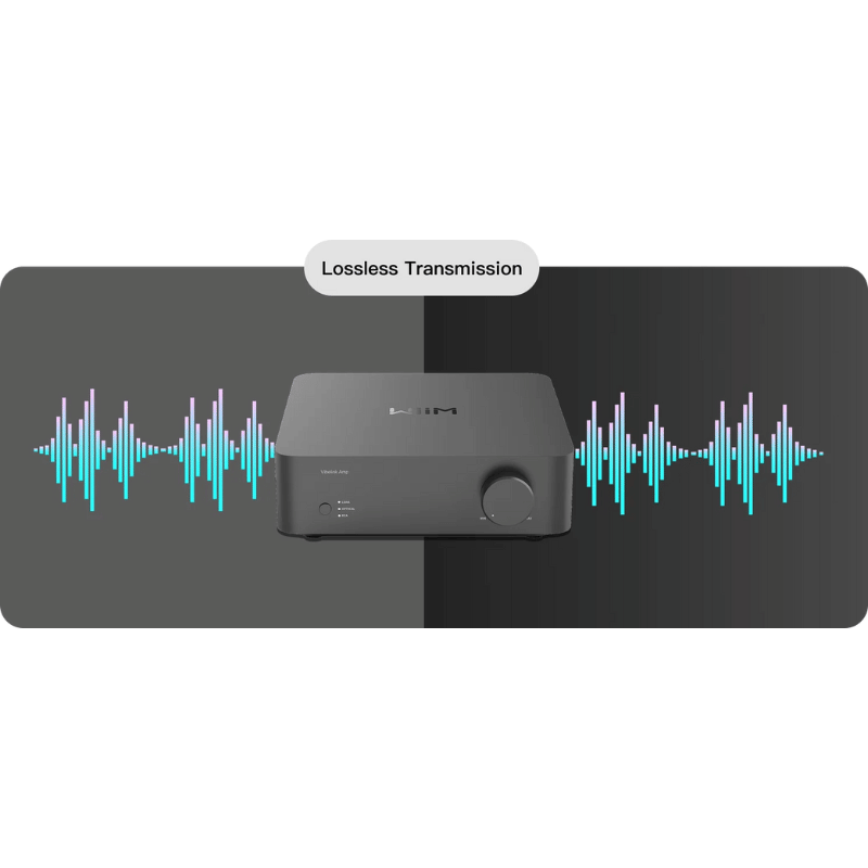 WiiM Vibelink Entegre Amplifikatör
