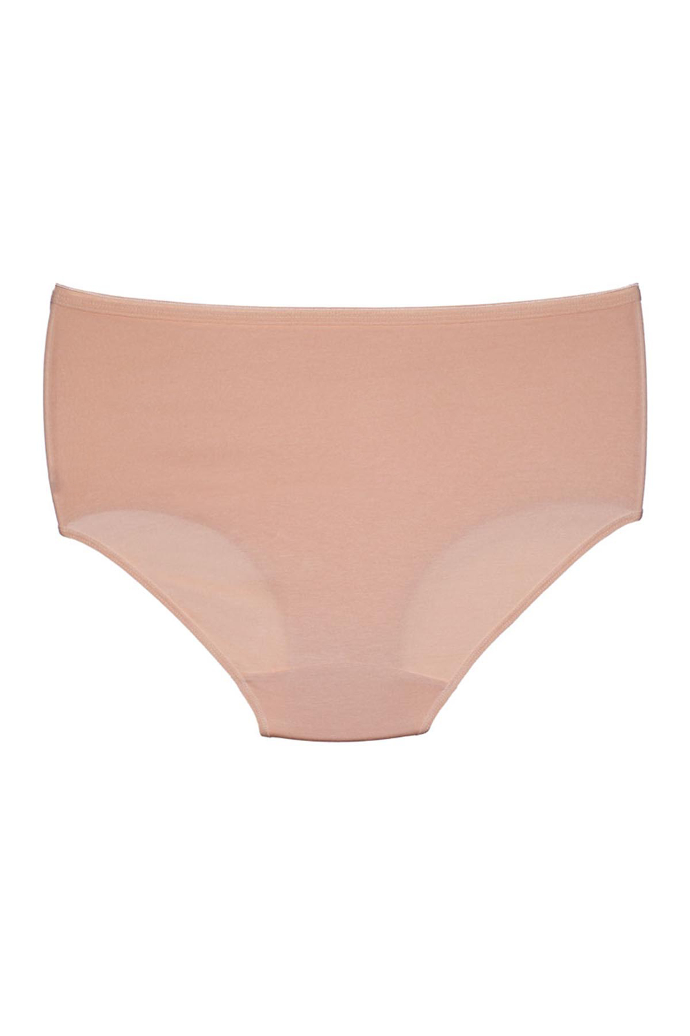 Kadın Pamuklu Yüksel Bel Modal Külot | Ten 1851