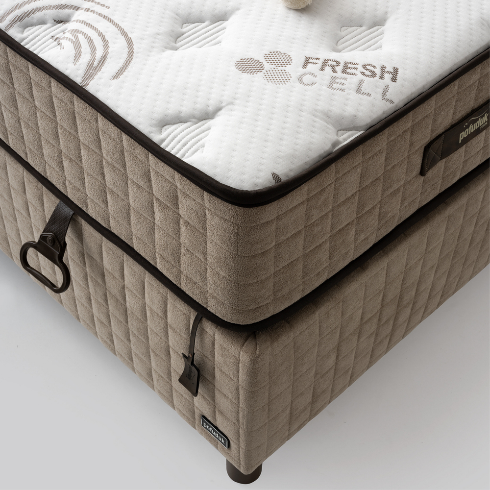 POFUDUK CALİFORNİA 3 LÜ SET