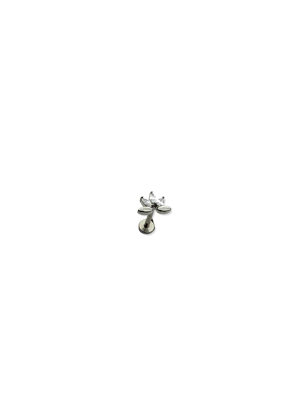 Titanium Piercing