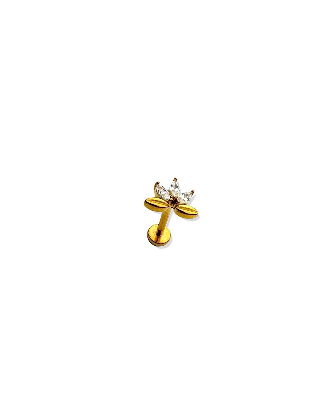 Titanium Piercing