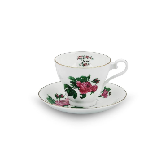 Çay fincanı - June (Haziran) Rose