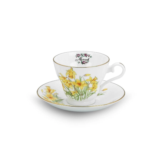 Çay fincanı - March (Mart) Narcissus