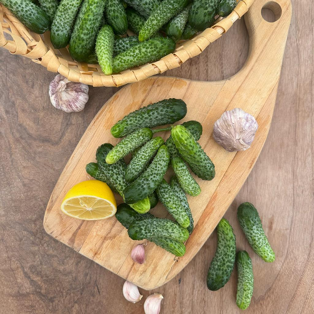 Kornişon ( 1 Kg.)