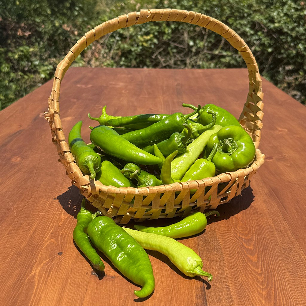 Yerli Tatlı Karışık Biber Çeşitleri (1 Kg.)
