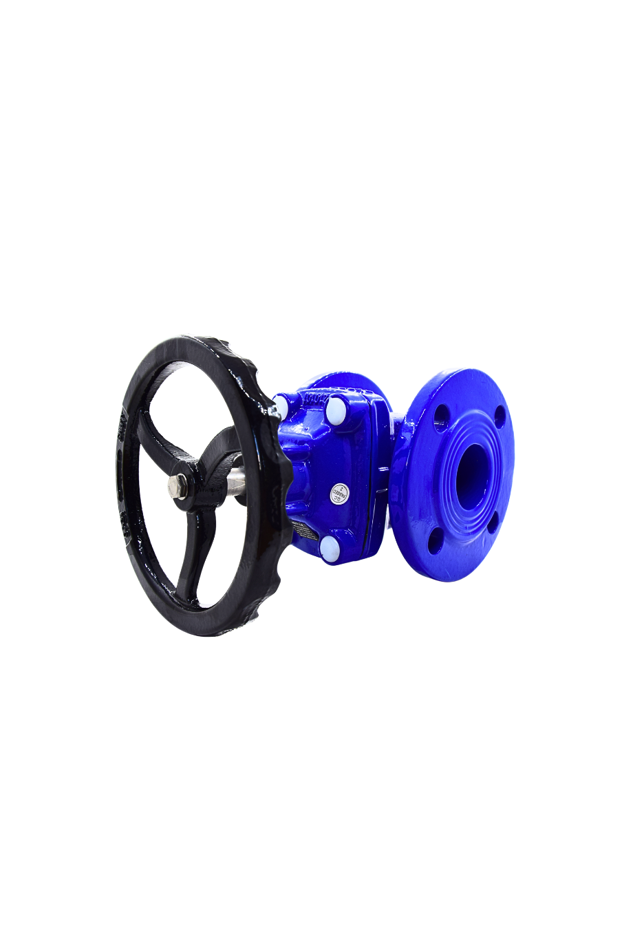 AYVAZ SÜRGÜLÜ VANA ELASTOMER GTK-18 DN 65
