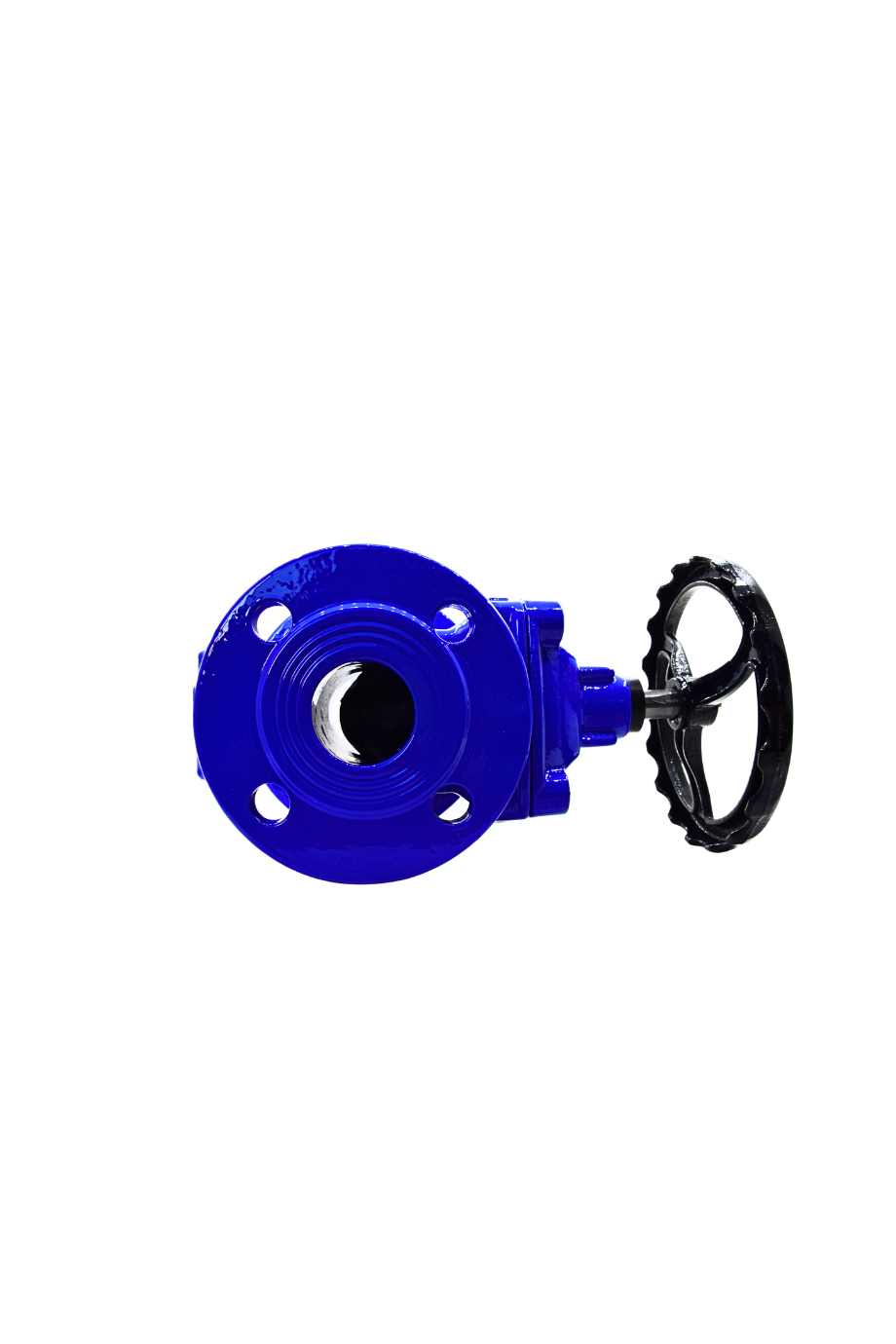 AYVAZ SÜRGÜLÜ VANA ELASTOMER GTK-18 DN 65