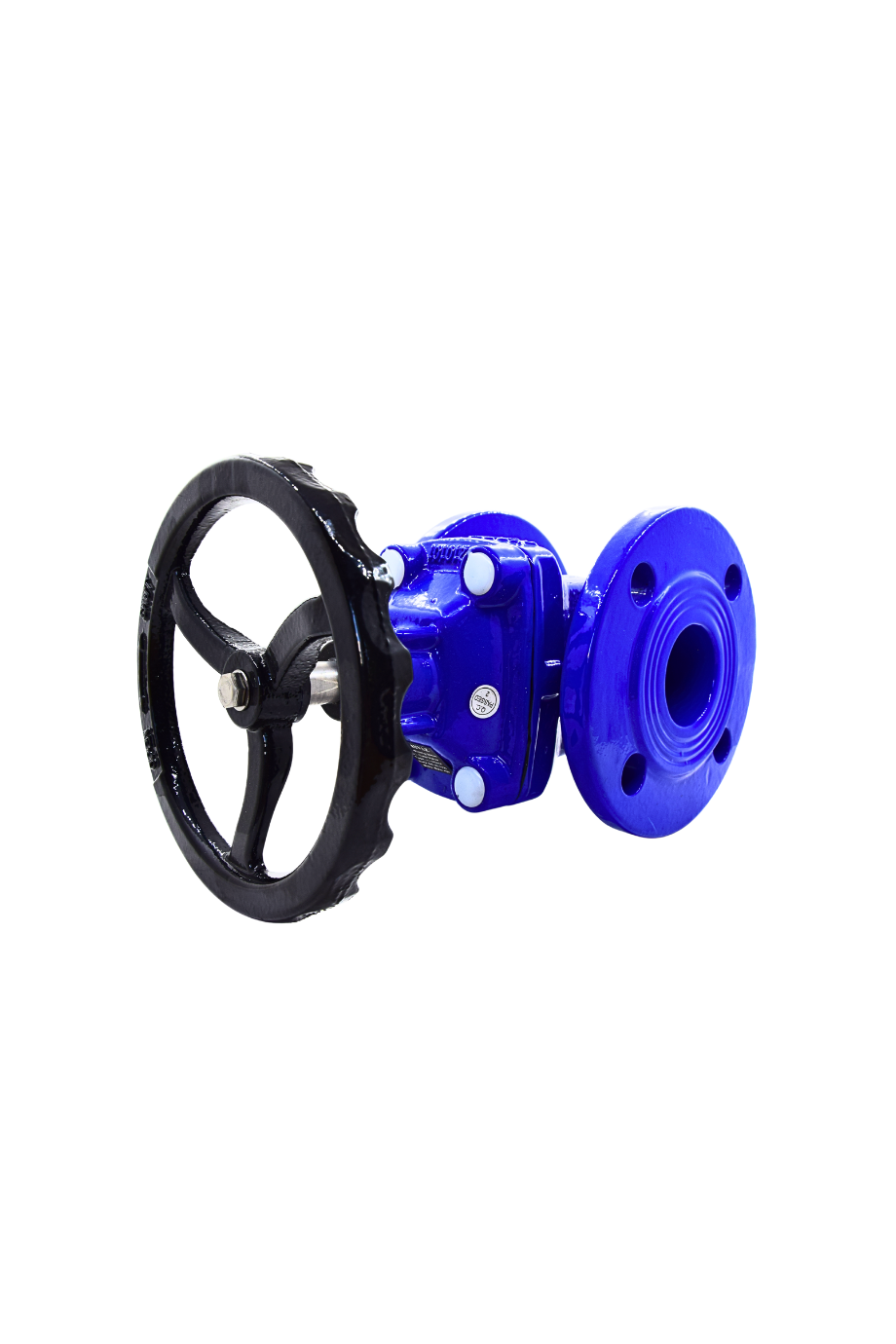 AYVAZ SÜRGÜLÜ VANA ELASTOMER GTK-18 DN 80