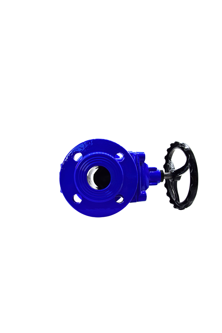 AYVAZ SÜRGÜLÜ VANA ELASTOMER GTK-18 DN 50