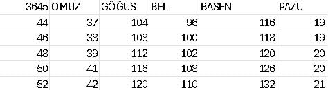 3645 KOD ÇİÇEK İŞLEMELİ ŞİFON ELBİSE