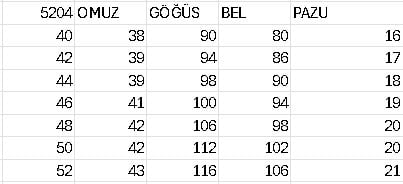 5204 KOD KABARTMA ÇİÇEK DESENLİ ELBİSE
