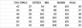 7204 KOD KOLLARI PUL DETAYLI ELBİSE