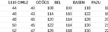 ÇİÇEK TAŞ İŞLEMELİ ELBİSE 5116 KOD
