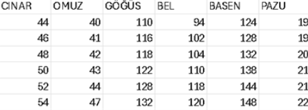 PAYET GARNİLİ ELBİSE CNR5046 KOD