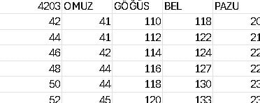 CUPRA TAŞLI FERACE 4203 KOD