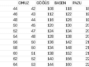 NİHAL İŞLEMELİ ELBİSE 8829 KOD