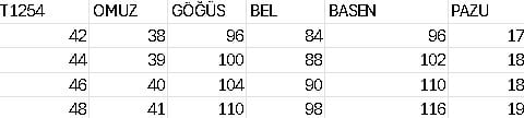 T1254 KOD JAKARLI ELBİSE