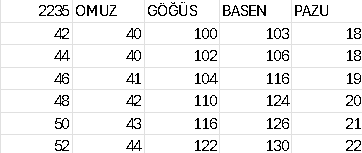 ZARİF TUNİK 2235 KOD
