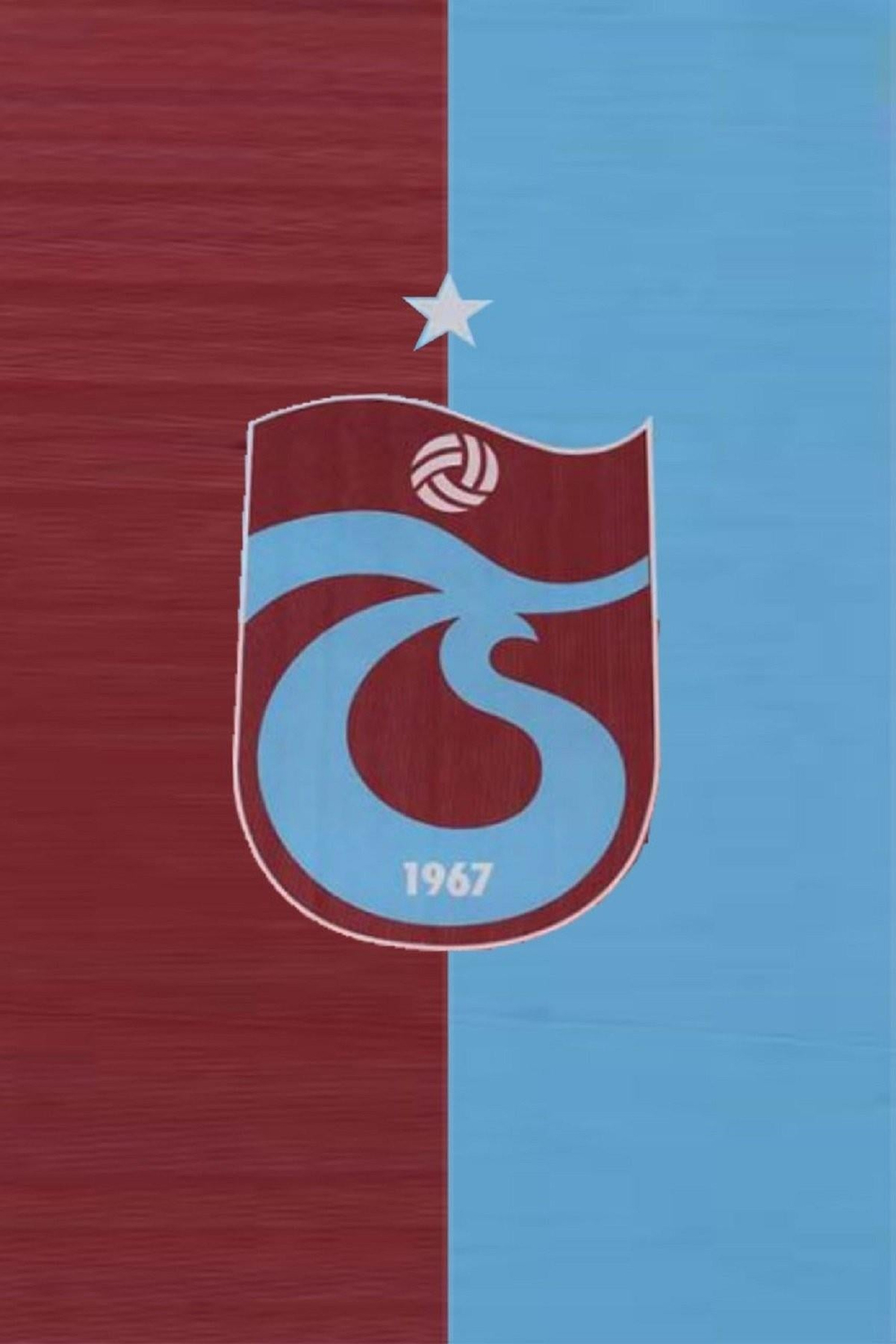 BAYRAK 70*105 SOPALI BM PARÇALI