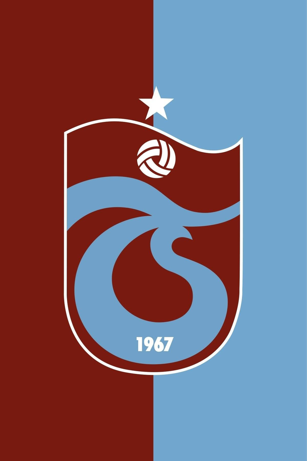 BAYRAK 800*1200 ASMALI BORDO MAVİ