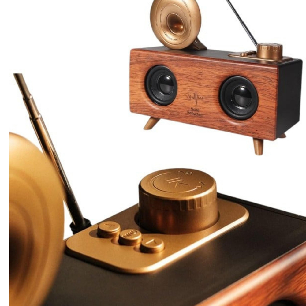 B6 Çift Hoparlörlü Gramafon Speaker Bluetooth Hoparlör