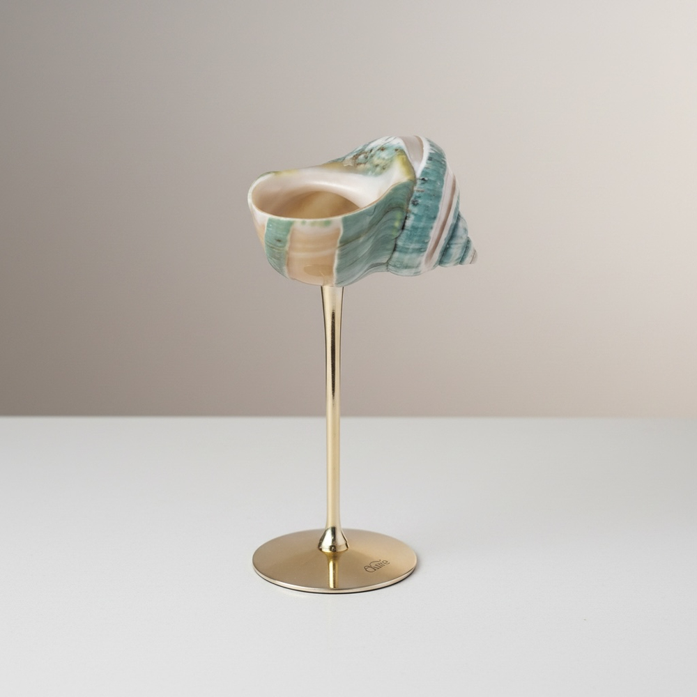 Muschel Gold